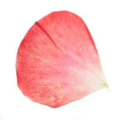 Emerald Organic Step 1 Pro Exfoliating Cleanser