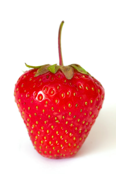 Purity Nourishment Step 3 Pro Enzyme Mask 2oz.