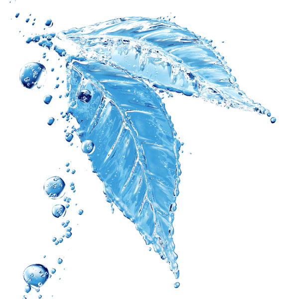 Crystal Clear Glycerin Pro Facial Cleanser - Freedom from Fragrance Series