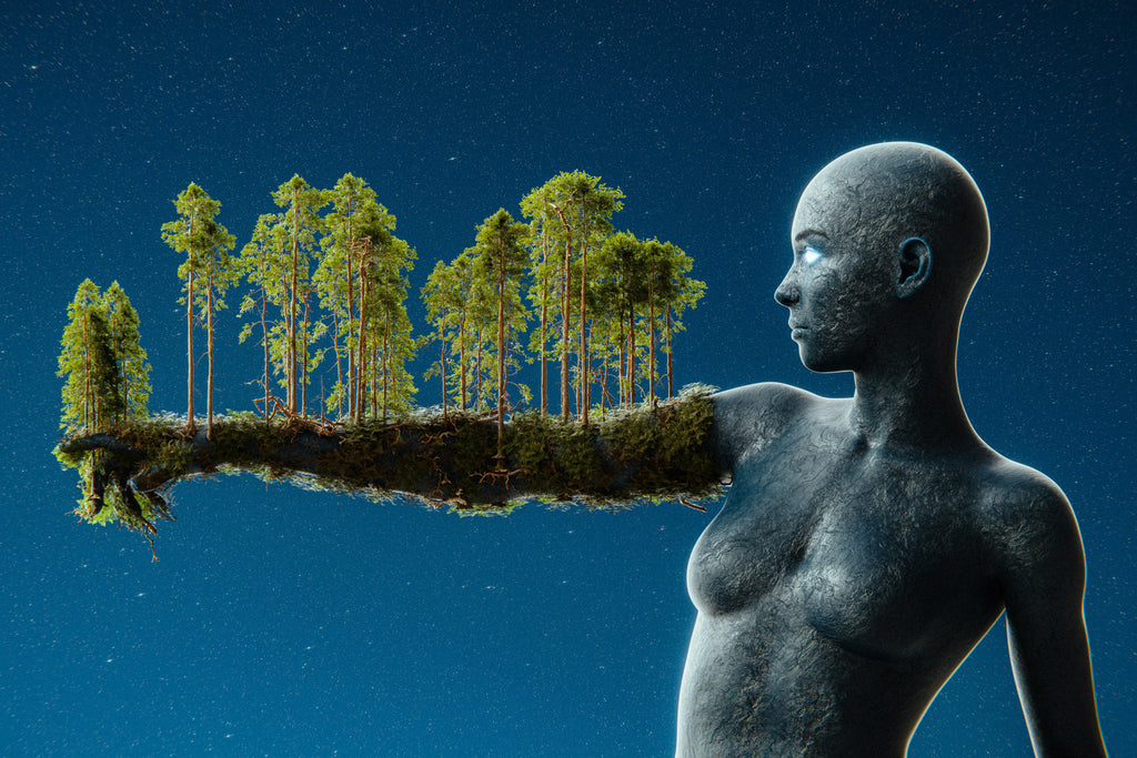 Aromatherapy for Winter Well-being