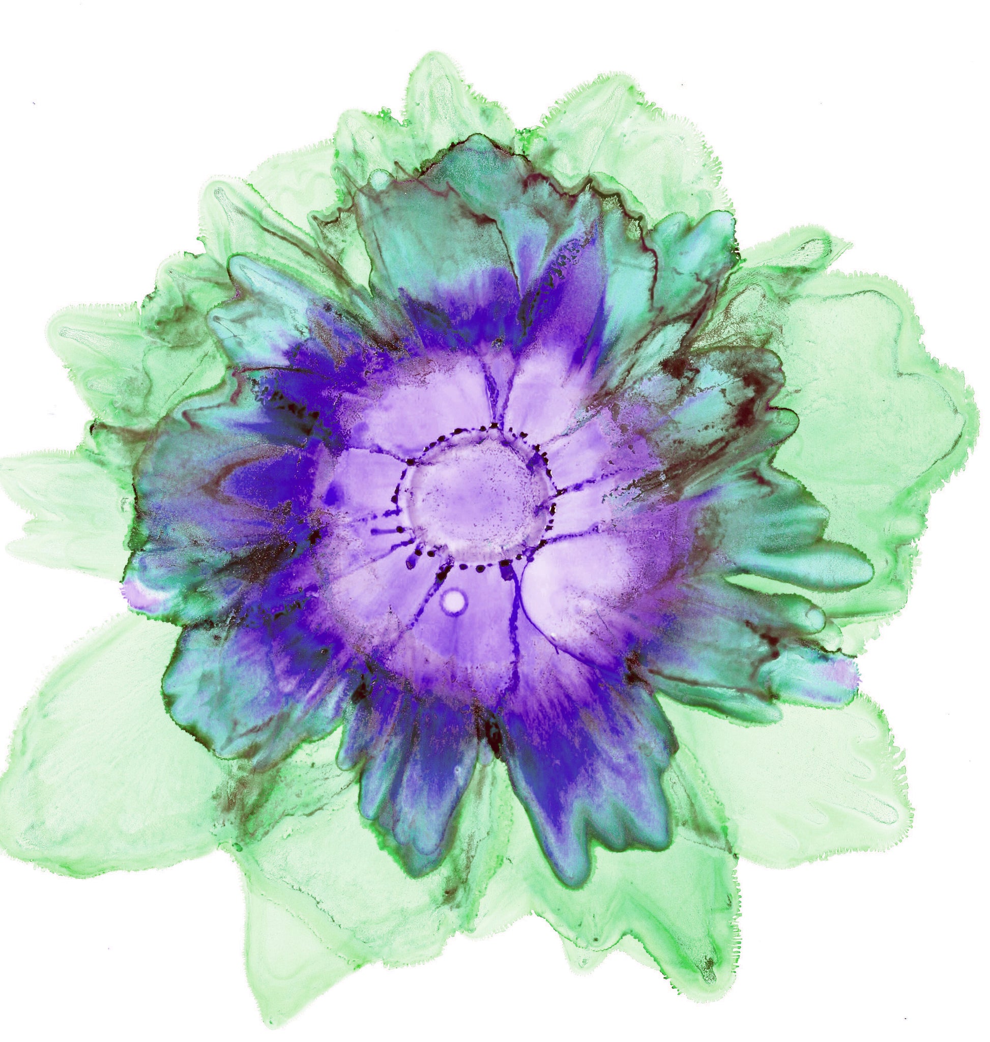 Emerald Botanical Body Collection