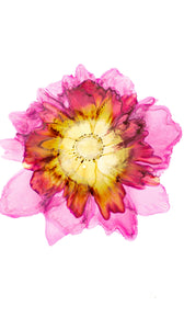 Lylark Botanical Organic Collection