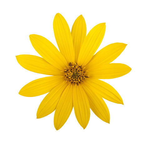 Sunflower Pure Naturelle Massage Oil
