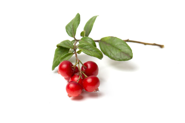 Raw Berry Sweet Super Fruit Nail Treatment